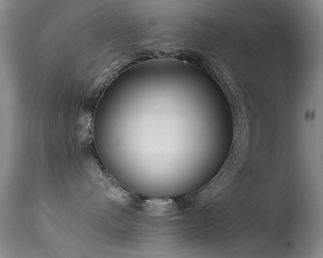 X0000113270480200909171718