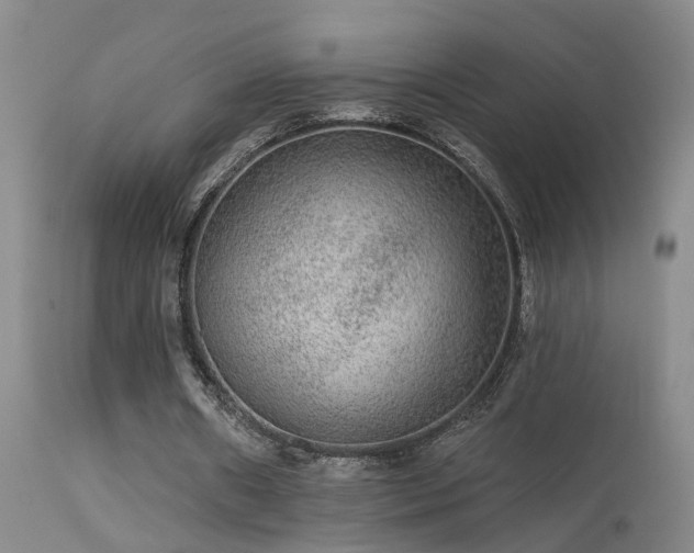X0000113270482200909171717