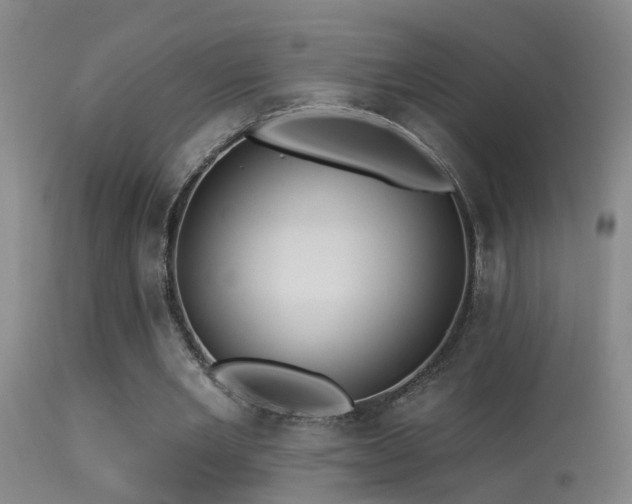 X0000113270485200909171717