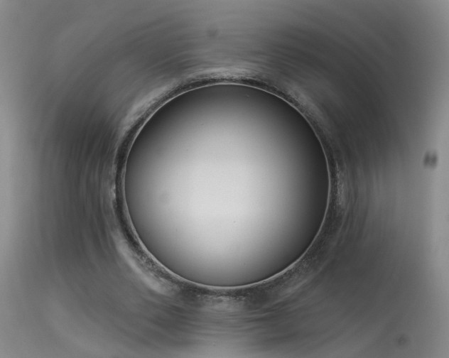 X0000113270486200909171717
