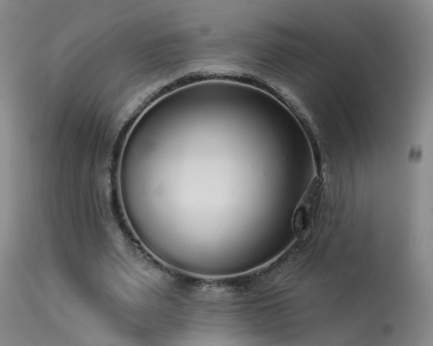X0000113270487200909171717