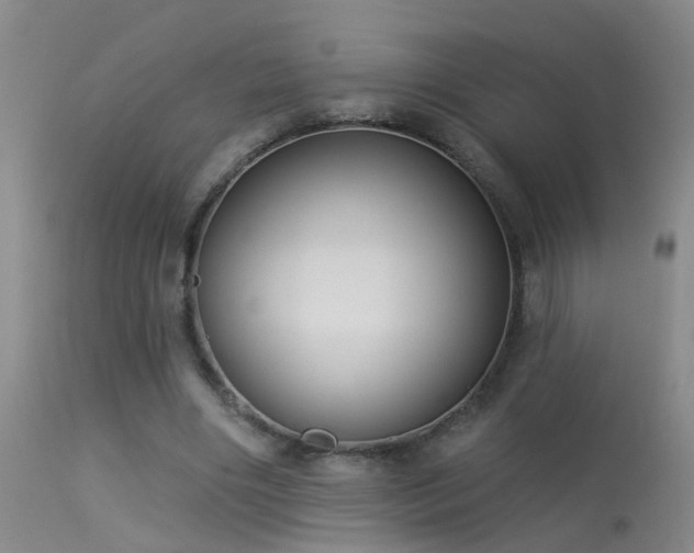 X0000113270490200909171717