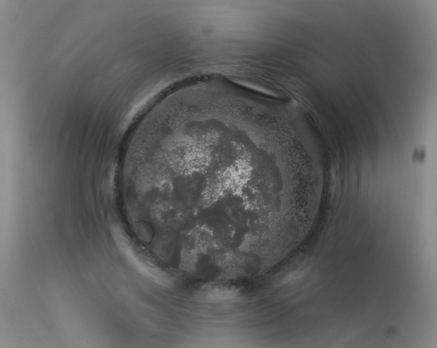X0000113270491200909171717