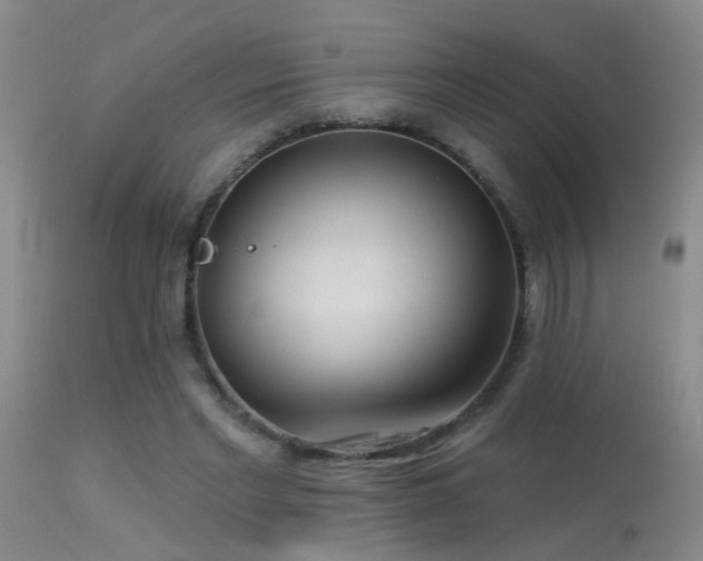 X0000113270493200909171717