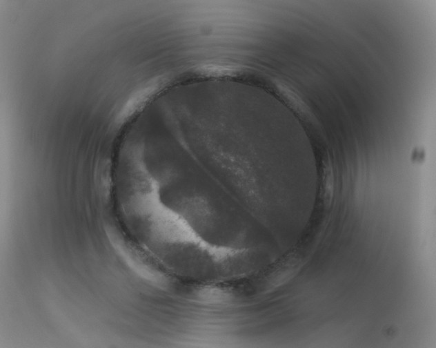 X0000113270494200909171717