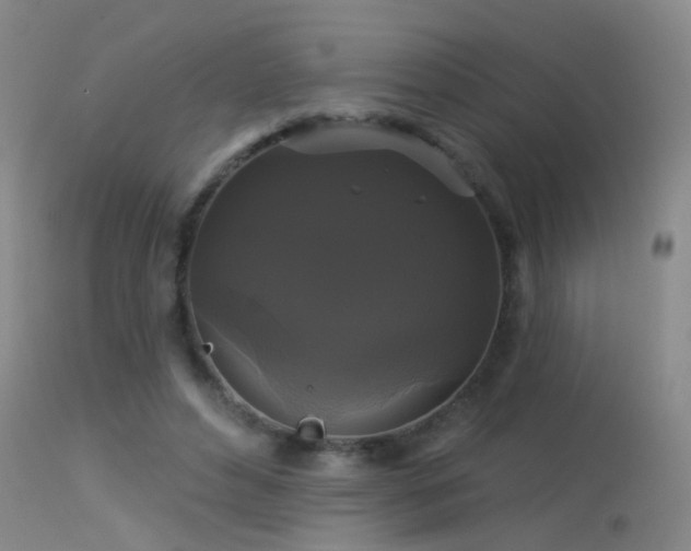 X0000113270496200909171717