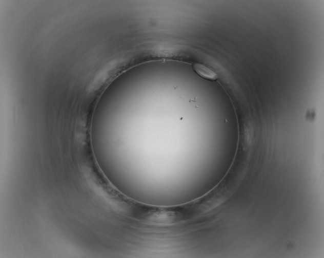 X0000113270497200909171717