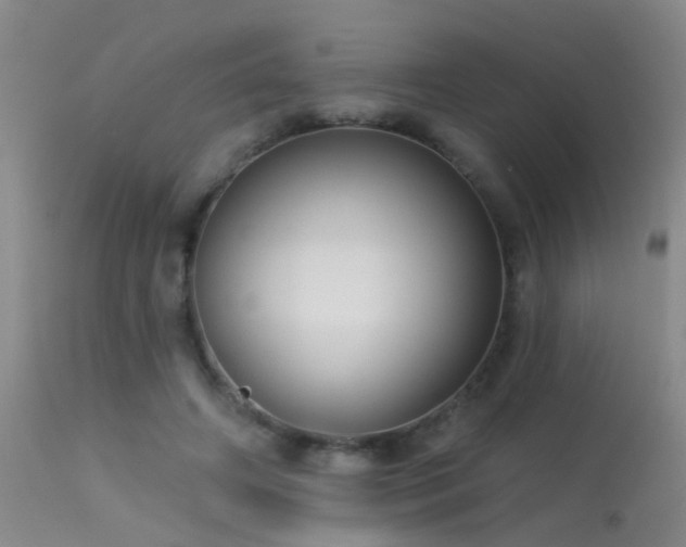 X0000113270498200909171717