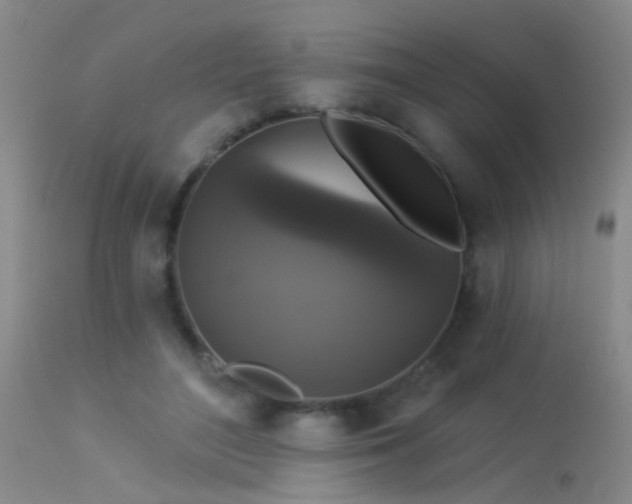 X0000113270500200909171717