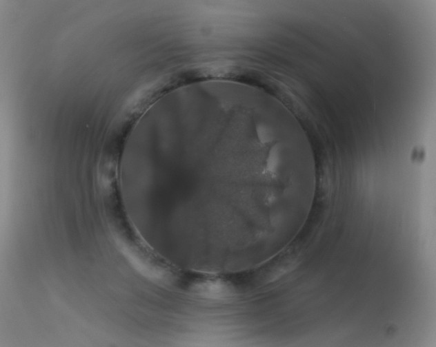 X0000113270503200909171717