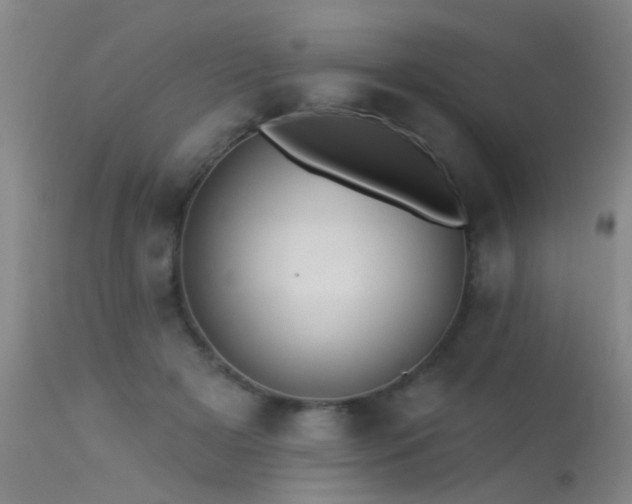 X0000113270505200909171717