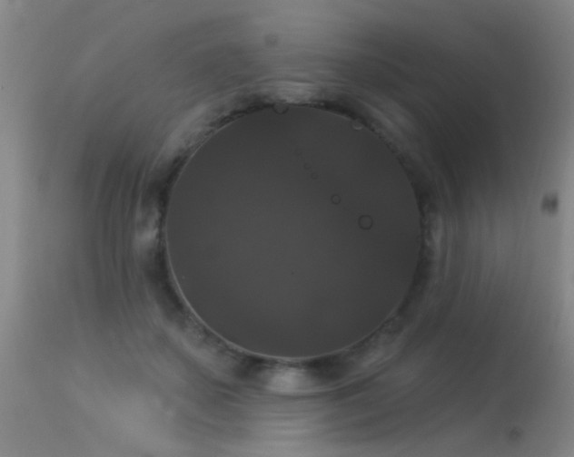 X0000113270507200909171717