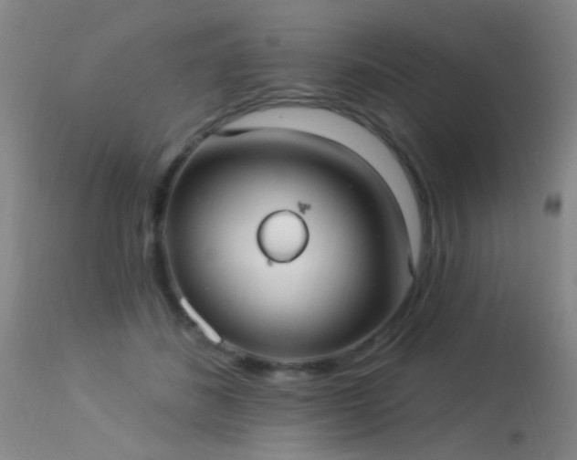X0000113270508200909171717