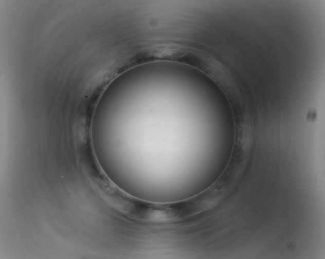 X0000113270510200909171717