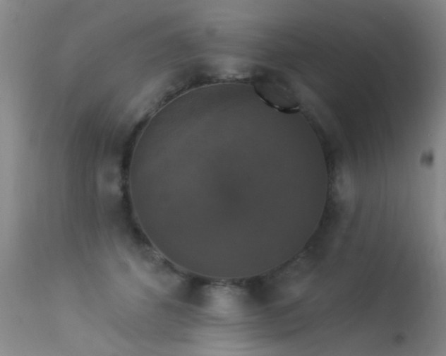 X0000113270512200909171717
