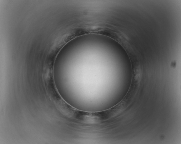 X0000113270515200909171716