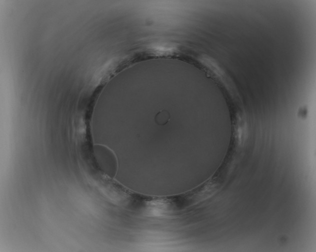 X0000113270516200909171716