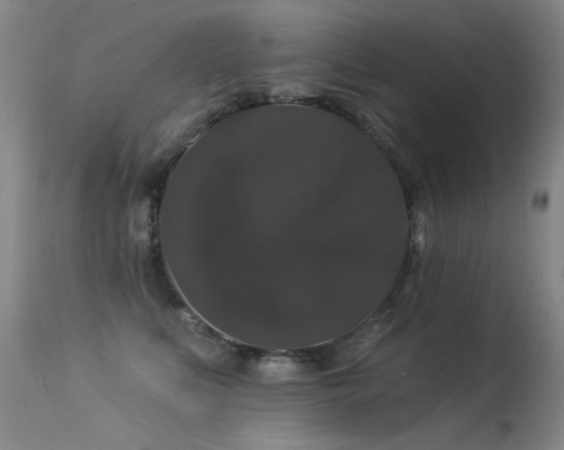 X0000113270519200909171716