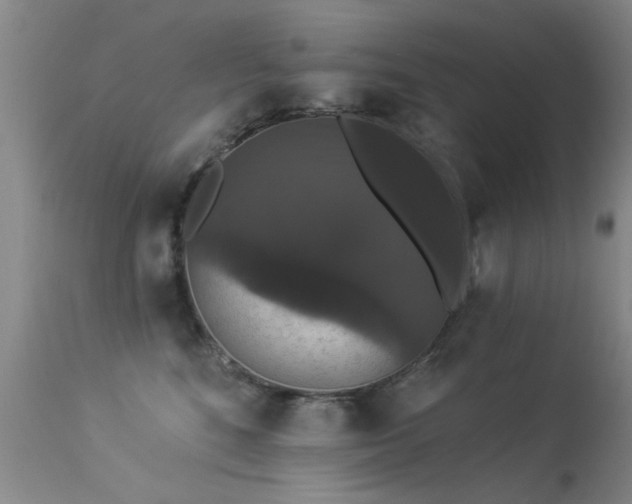 X0000113270520200909171716