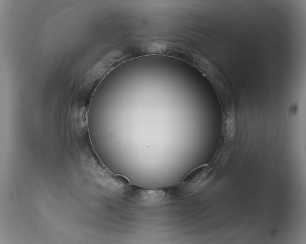 X0000113270525200909171716