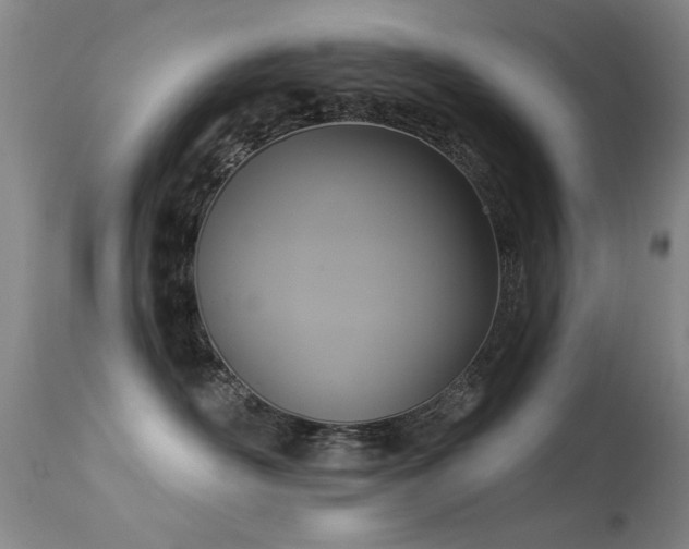 X0000113270526200909171716