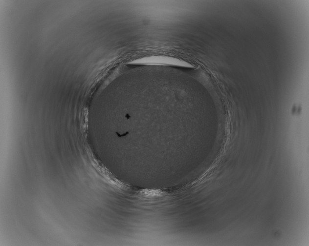 X0000113270528200909171716
