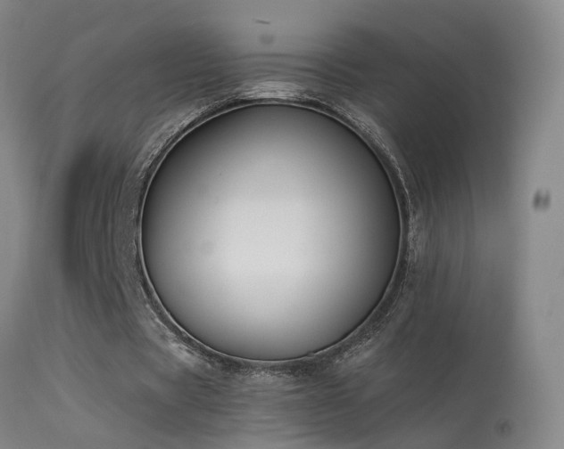 X0000113270529200909171716