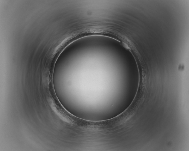 X0000113270530200909171716