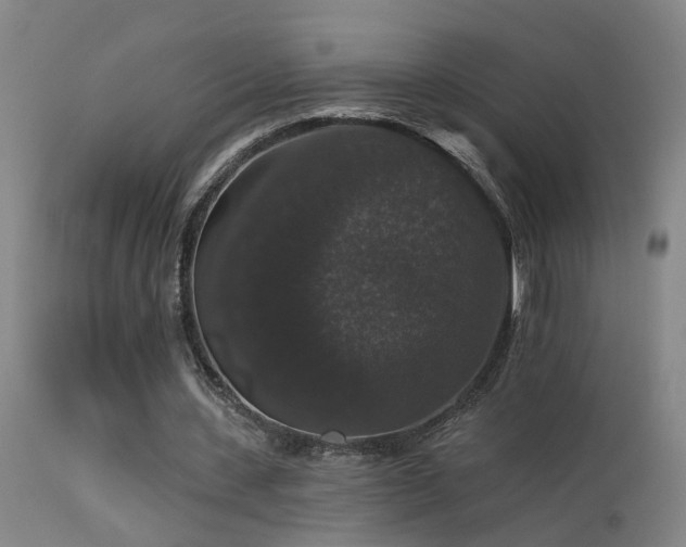 X0000113270531200909171716