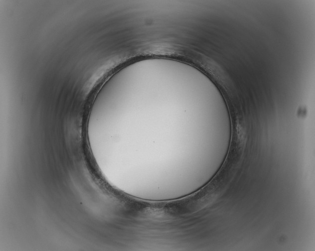 X0000113270534200909171716