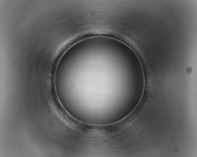 X0000113270535200909171716