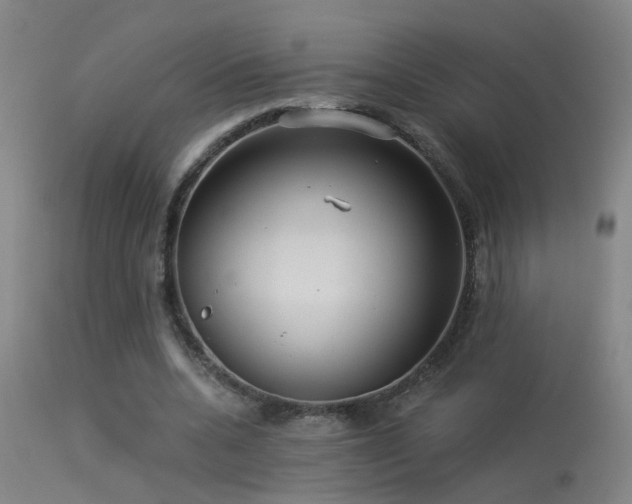 X0000113270536200909171716