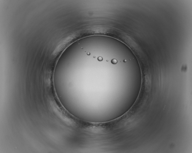 X0000113270537200909171716