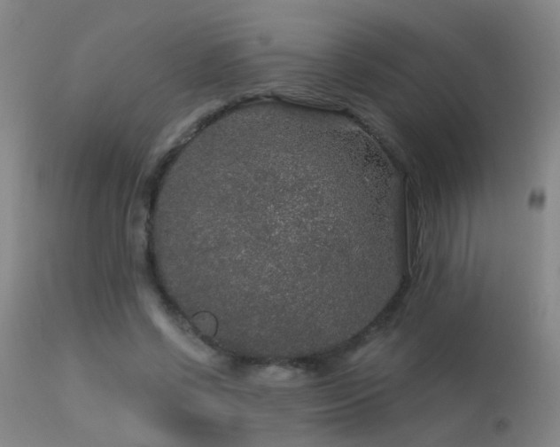 X0000113270542200909171716