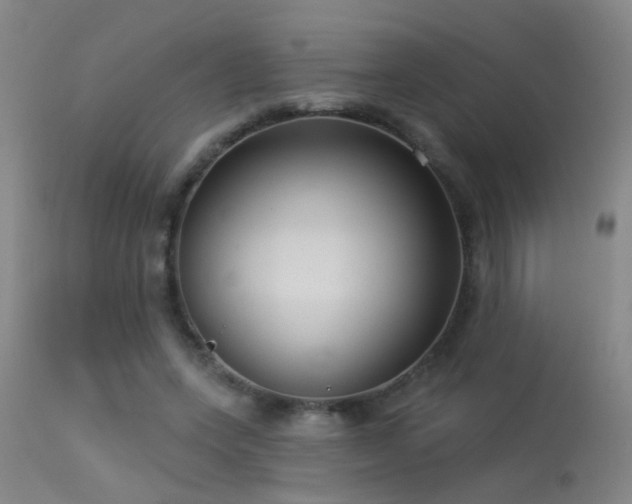 X0000113270543200909171716