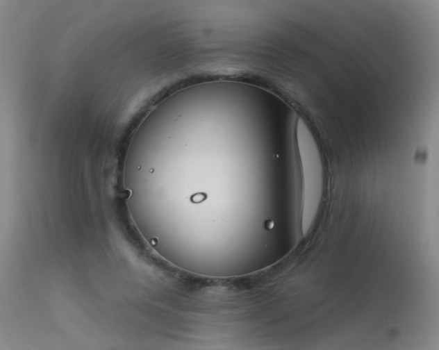 X0000113270544200909171716