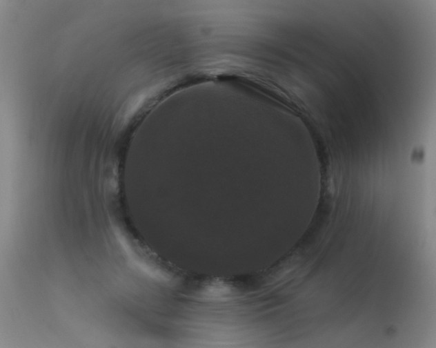 X0000113270547200909171716