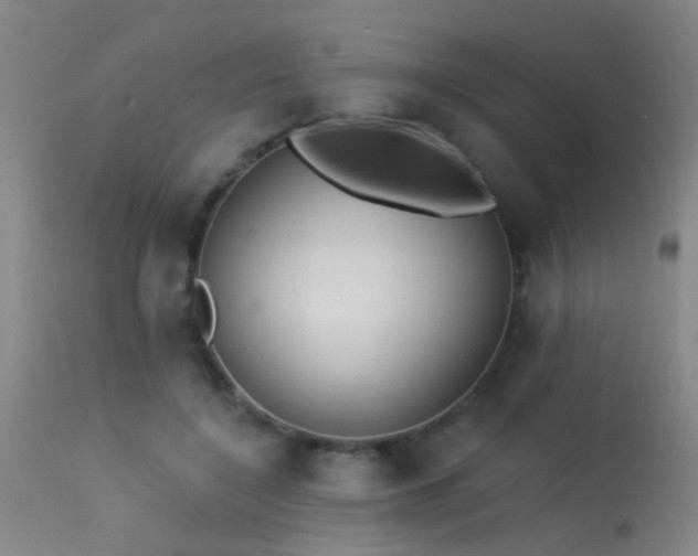 X0000113270548200909171716