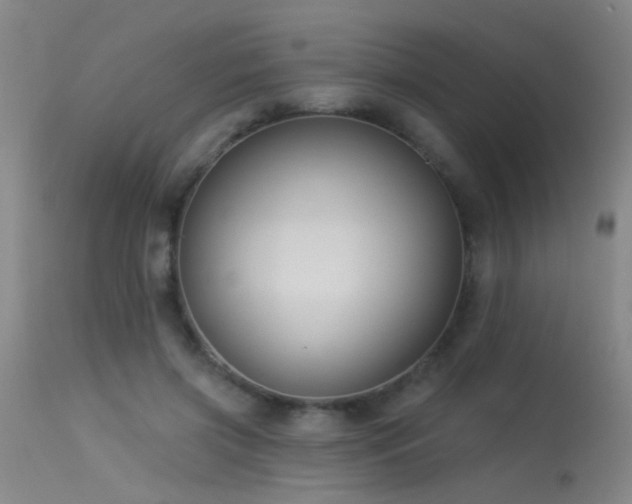 X0000113270549200909171716