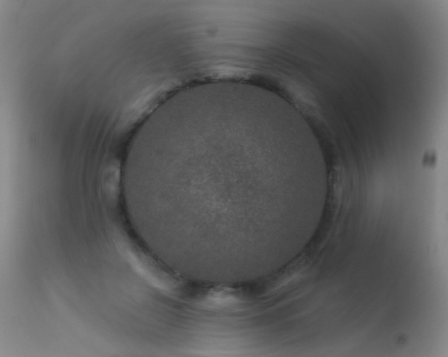 X0000113270550200909171716