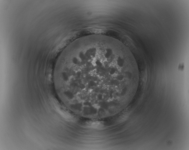 X0000113270553200909171716