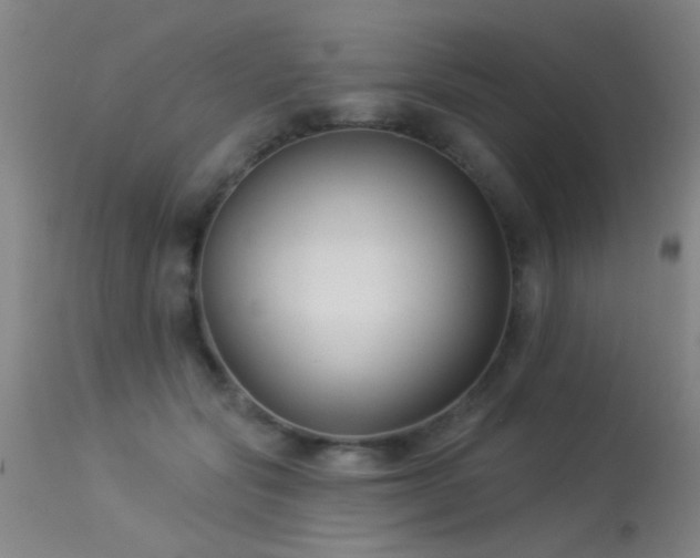 X0000113270557200909171716