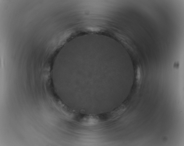 X0000113270559200909171716