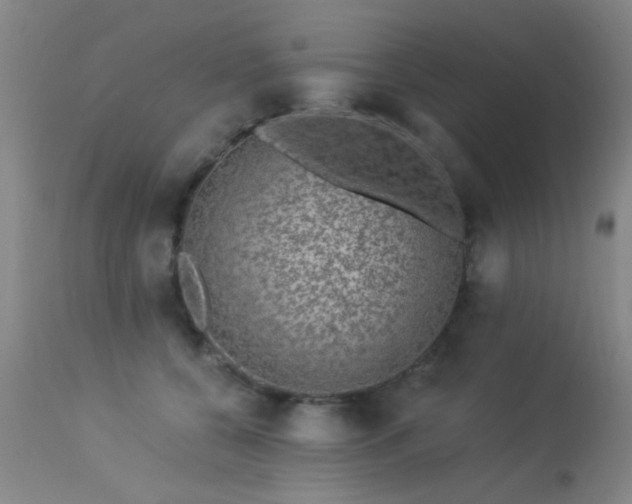 X0000113270560200909171716