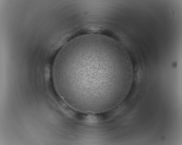 X0000113270562200909171716