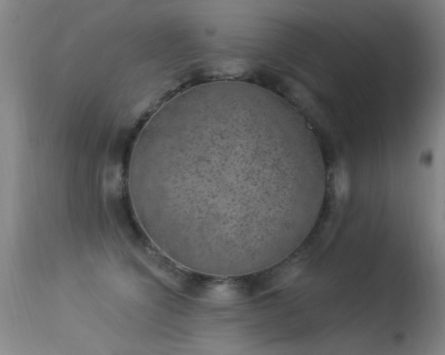 X0000113270564200909171716