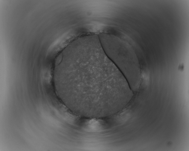 X0000113270566200909171716