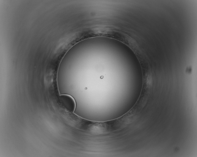 X0000113270567200909171716