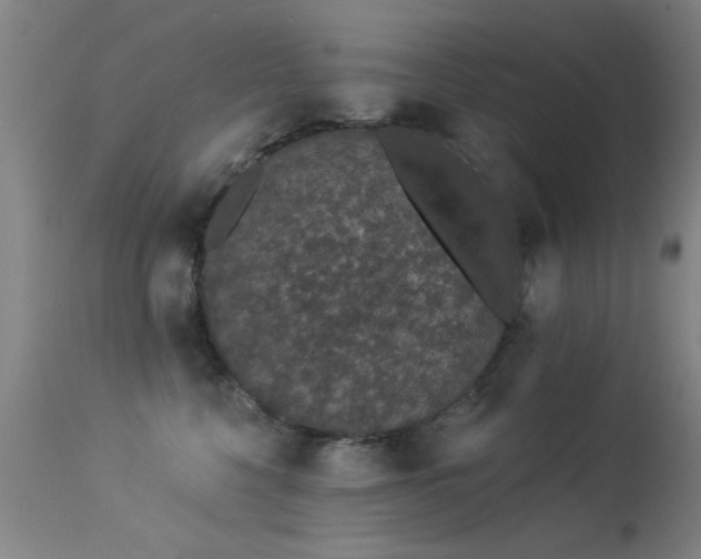 X0000113270568200909171716