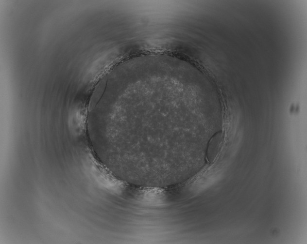 X0000113270576200909171716
